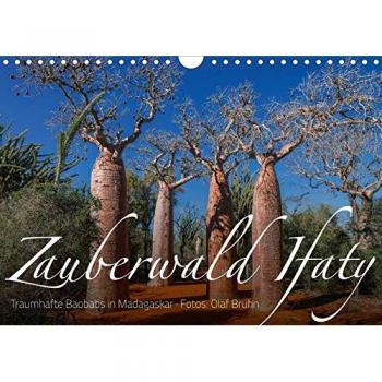 Zauberwald Ifaty · Traumhafte Baobabs in Madagaskar
