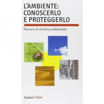 L'ambiente: conoscerlo e proteggerlo. Percorsi di chimica ambientale
