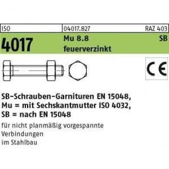 Viti Bullone 10 mm x 120 mm, Dado M10, Zincato