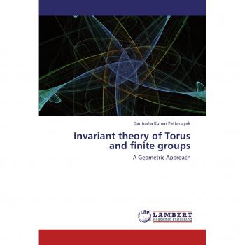 Invariant theory of Torus and finite groups: A Geometric Approach