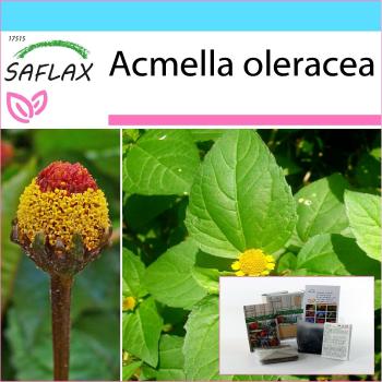 Coffret Cadeau SAFLAX