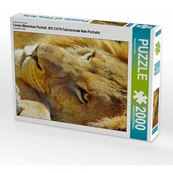 Löwen-Nahaufnahme 67x90 cm Puzzle