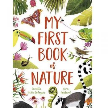 My First Book of Nature by Camilla De La Bedoyere
