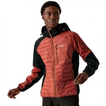 Giacca Softshell Regatta Pro Hybrid