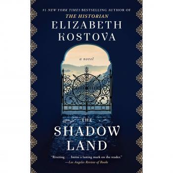 The Shadow Land: A Novel