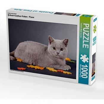 CALVENDO Puzzle Britisch Kurzhaar Katzen