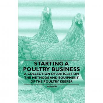 Starting a Poultry Business
