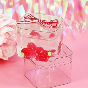 Clear Plastic Slime Storage Box