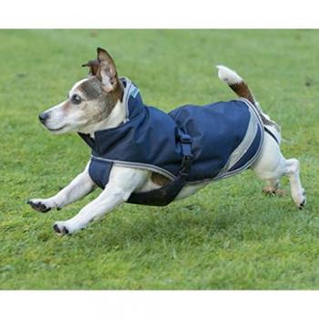 Nappe Canine Libération 50 g – Marine / Argent