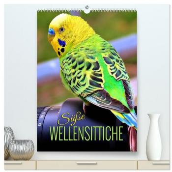 Süße Wellensittiche (hochwertiger Premium Wandkalender 2024 DIN A2 hoch) Kunstdruck in Hochglanz