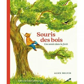 Souris des bois