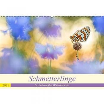 Schmetterlinge in zauberhaften Blumenwiesen