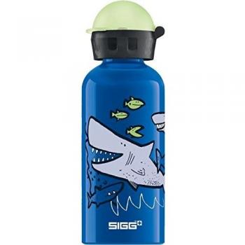SIGG Original Water Bottle 0.75 L