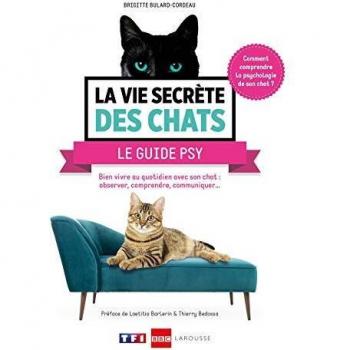 La vie secrète des chats