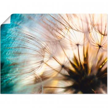 Wandaufkleber Pusteblume Makro – Blumenabstrakt