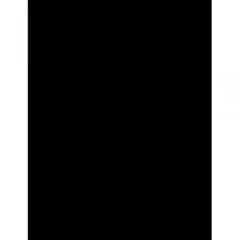 De la représentation institutionnelle de la societe civile (Rapport Cons. Eco. S)