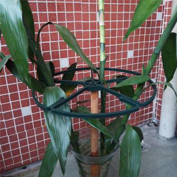 Outils de soin pour plantes