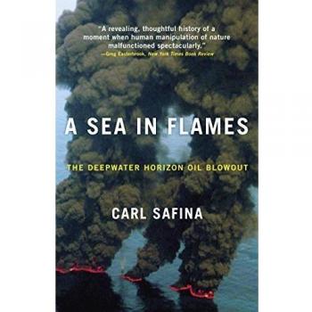 A Sea in Flames : The Deepwater Horizon Oil Blowout