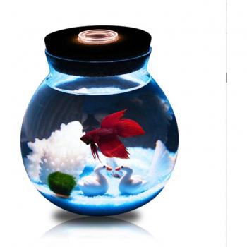 Compact Betta Habitat: Mini Aquarium & Decorative Plant Set