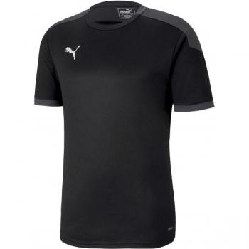 Puma DryCell Team Final 21 Shirt Herren Schwarz L