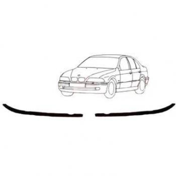 Van Wezel 0639515 Moulure de Face Avant