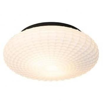 Pavone di luce Nohmi Tondo Vetro e Acciaio 2xWatt