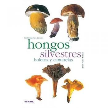 Hongos silvestres. Boletos y cantarelas (Tapa blanda).
