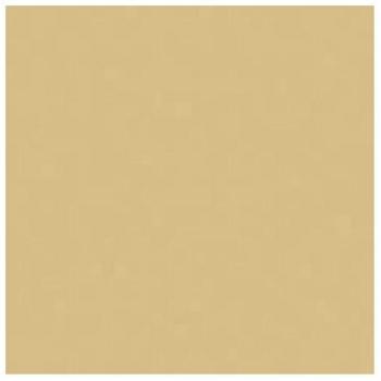 GapFill Pro 310ml Interior Wood Filler