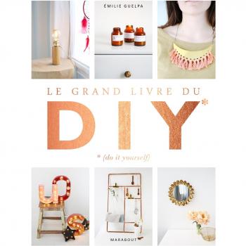 Le grand livre des DIY* *