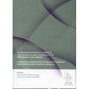 Prevencion de riesgos laborales y las nuevas formas de organizacion empresarial