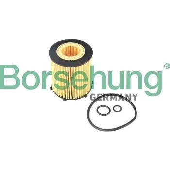 Filtro Borsehung B12405 para Óleo