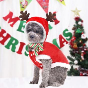 Chihuahua Christmas Dog Coat