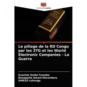 Le pillage de la RD Congo par les 3TG et les World Electronic Companies
