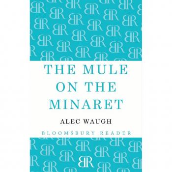 The Mule on the Minaret : A Novel about the Middle East