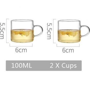 Clear Borosilicate Tea Infuser Kettle