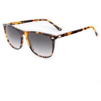 Women’s Brown Acetate Frame Sunglasses – Belstaff Meriiani‑s16