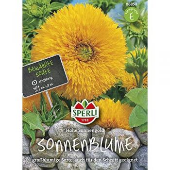 Sperli Hohe Sonnengold Sonnenblume