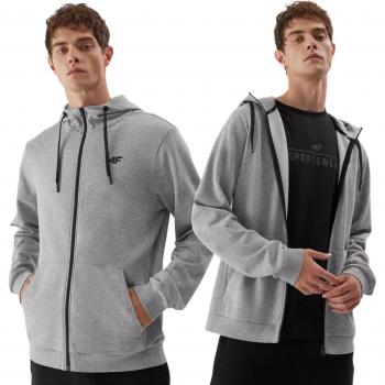 Herren Sweatshirt 4F 4FAW23TSWSM695 Grau Regular Fit