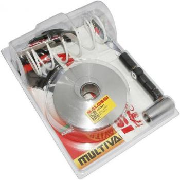 Malossi Multivar 2000 Sport pour Grand Dink 2017+