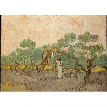 Vincent van Gogh – Damen beim Olivenpflücken, 1889