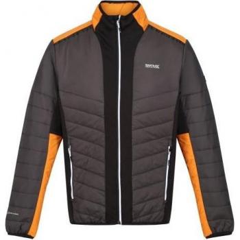 Regatta Giacca Uomo Halton VII Con Pannello a Contrasto