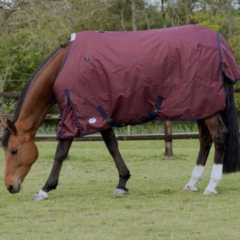 Lightweight Turnout Rug | JHL Standard Neck 0g Fill Burgundy Horse | 5'6-7'0