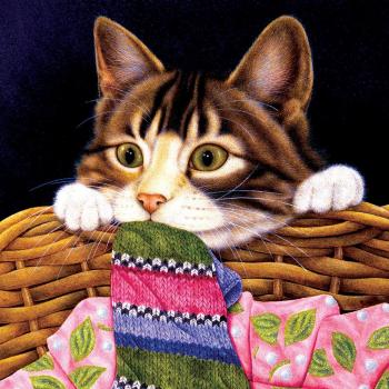 Sonnenblick Puzzle 1000 Teile – Anne Mortimer – Besessen von Socken