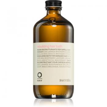 Oway Schutzspülung für angegriffenes Haar 240 ml