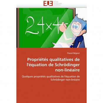 Propriétés qualitatives de l'équation de Schrödinger non-linéaire