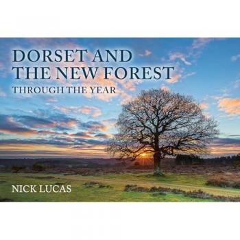 Dorset and the New Forest Through the Year