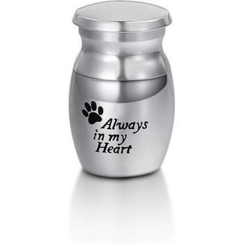 Burial Urn for Pet Ashes