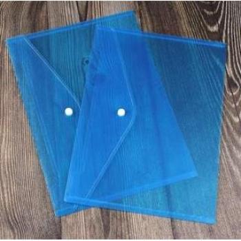 Clear A4 Document Case
