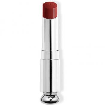 Barra de Labios Brillante Dior Addict 972 Silhouette