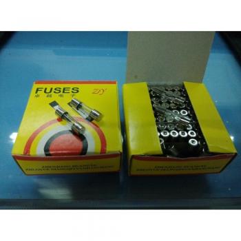 5x20 Fast Fuse 0.3A 250V
